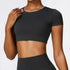 Women Short Sleeve Seamless Crop Top T-Shirt